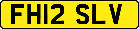 FH12SLV