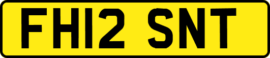 FH12SNT