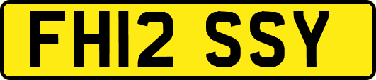 FH12SSY
