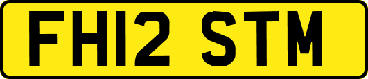 FH12STM