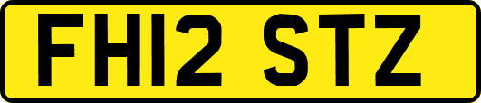 FH12STZ