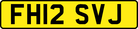 FH12SVJ