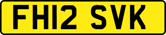 FH12SVK