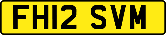 FH12SVM