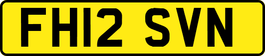 FH12SVN