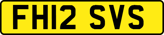 FH12SVS
