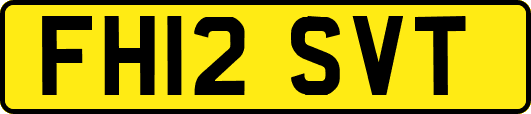 FH12SVT