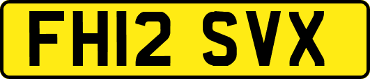 FH12SVX