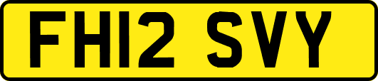 FH12SVY