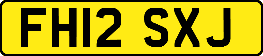 FH12SXJ