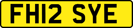 FH12SYE