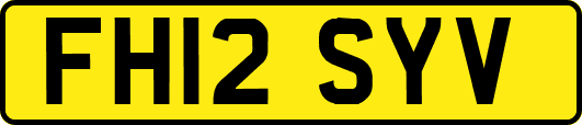 FH12SYV