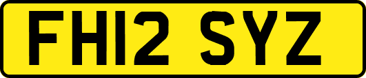 FH12SYZ