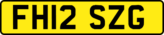 FH12SZG