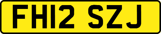FH12SZJ