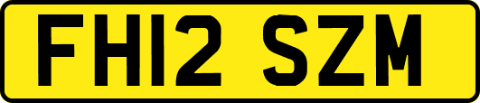 FH12SZM
