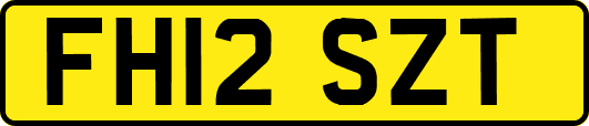 FH12SZT