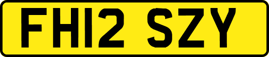 FH12SZY