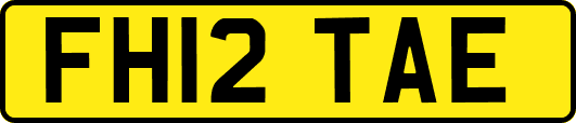 FH12TAE