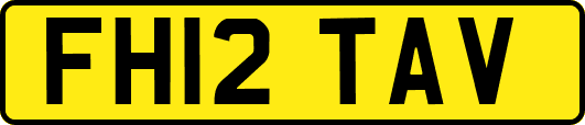 FH12TAV