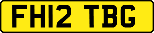 FH12TBG