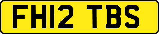 FH12TBS