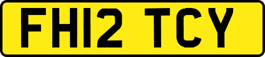 FH12TCY