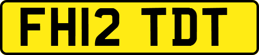 FH12TDT