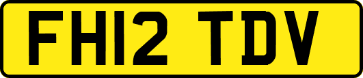FH12TDV