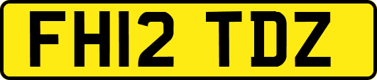 FH12TDZ