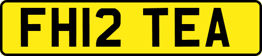 FH12TEA