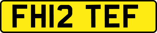 FH12TEF