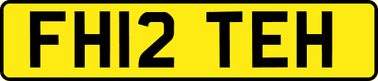 FH12TEH