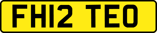 FH12TEO