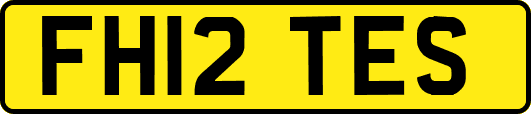 FH12TES