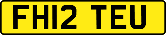 FH12TEU