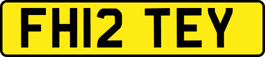 FH12TEY