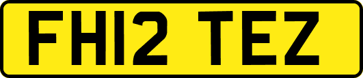 FH12TEZ