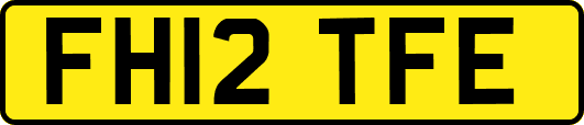 FH12TFE