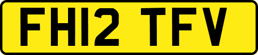 FH12TFV