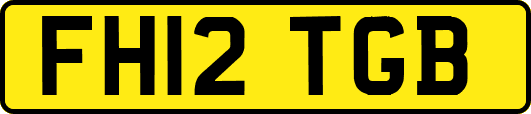 FH12TGB