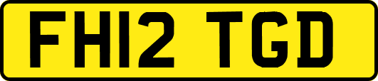FH12TGD