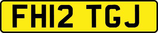 FH12TGJ