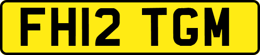 FH12TGM