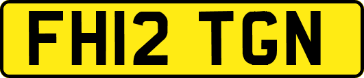 FH12TGN