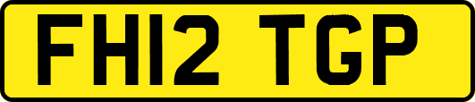 FH12TGP