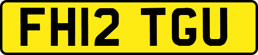 FH12TGU