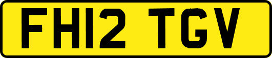 FH12TGV