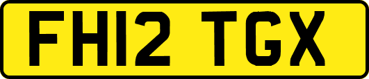 FH12TGX