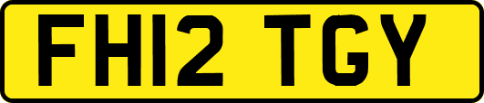 FH12TGY